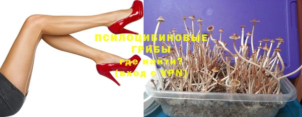 каннабис Арсеньев